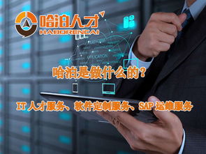 2017廈門哈泊視角下軟件外包行業前景分析